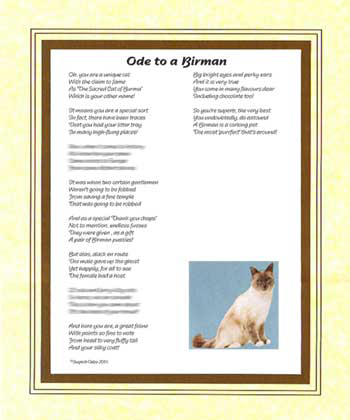 Ode to a Birman Cat