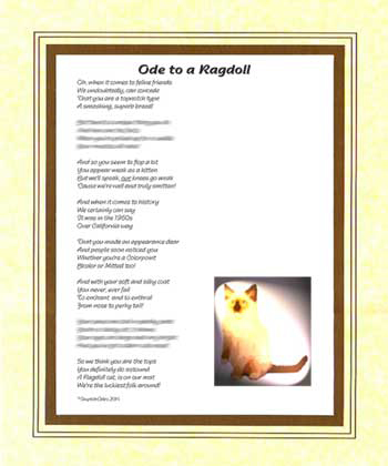 Ode to a Rag Doll Cat