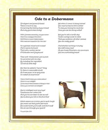 Ode to a Dobermann