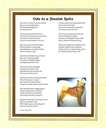 Ode to a Finnish Spitz