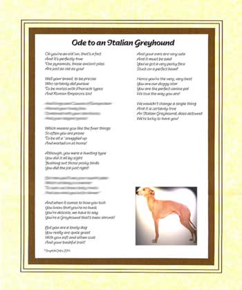 Ode to an Italian Greyhound