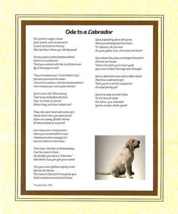 Ode to a Labrador