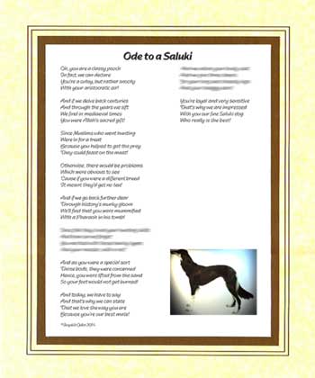 Ode to a Saluki