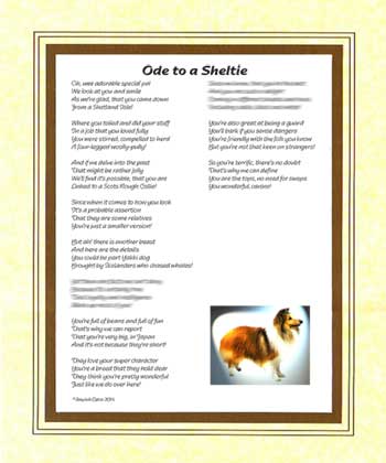 Ode to a Sheltie